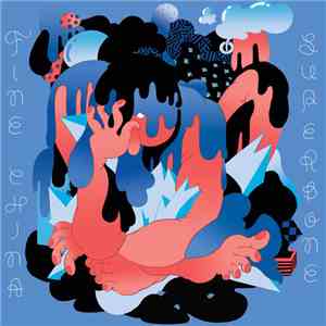 Fine China Superbone - Fine China Superbone