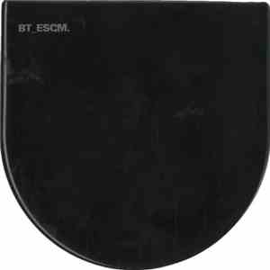 BT - ESCM
