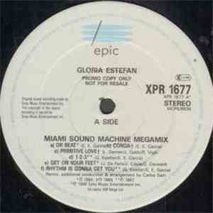 Gloria Estefan - Miami Sound Machine Megamix / Live For Loving You