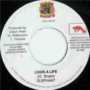 Elephant - Look A Life