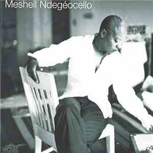 Me'Shell NdegéOcello - Extra Bitter