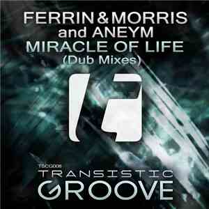 Ferrin & Morris And Aneym - Miracle Of Life (Dub Mixes)