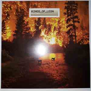 Kings Of Leon - Notion