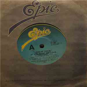 Cheap Trick - If You Want My Love