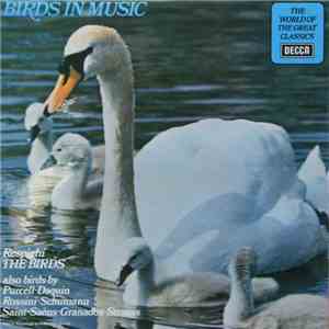 Various - Birds In Music