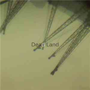 Various - Dead Land