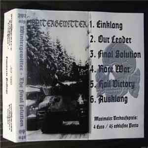 Wintergewitter - The Final Solution