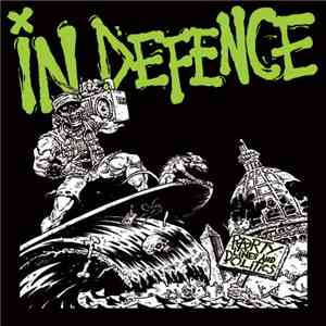 In Defence - Party Lines And Politics