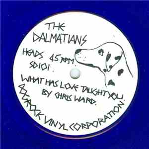 The Dalmatians - What Has Love Taught You