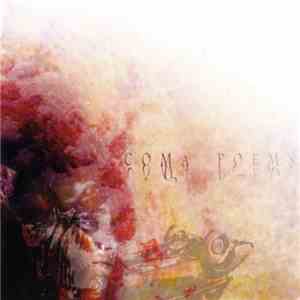 The Nothing  - Coma Poems