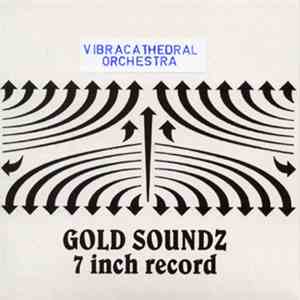 Vibracathedral Orchestra - Untitled