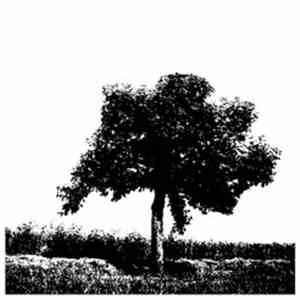 Xarfai - Smorgasbord EP
