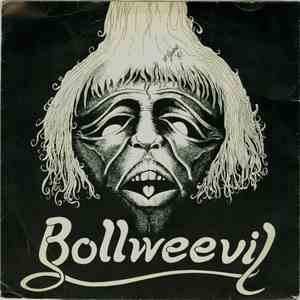 Bollweevil - Rock Solid