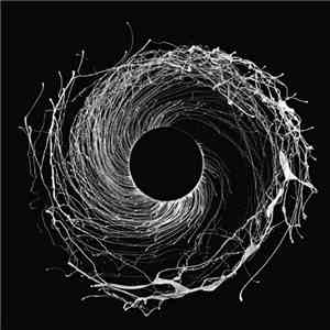 Dawn Of Midi - Dysnomia