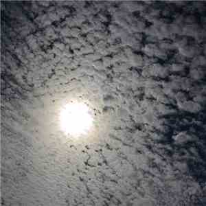 Duff Egan - Natural Light