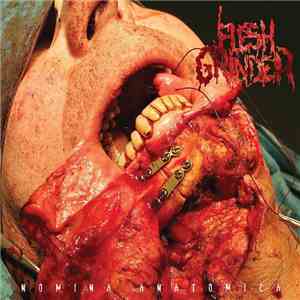 Flesh Grinder - Nomina Anatomica