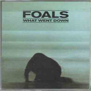Foals - What Went Down