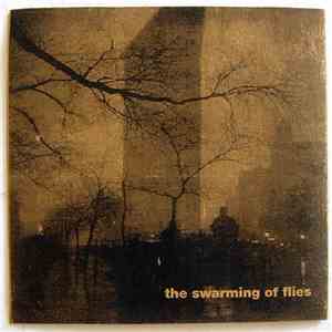 The Swarming Of Flies - Untitled