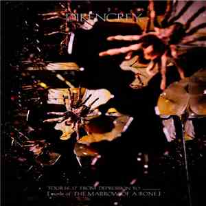 DIR EN GREY - Tour16-17 From Depression To ________ [Mode Of The Marrow Of A Bone]