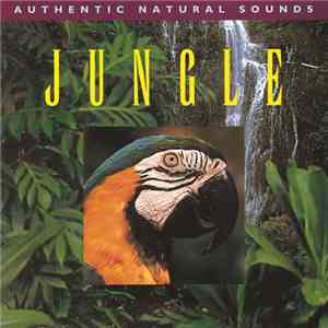 No Artist - Jungle