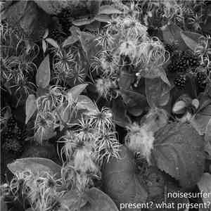 Noisesurfer - Present? What Present?