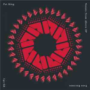 Pat King - Noises From Above EP