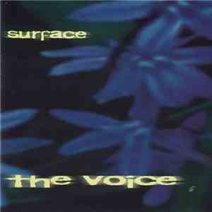The Voice  - Surface