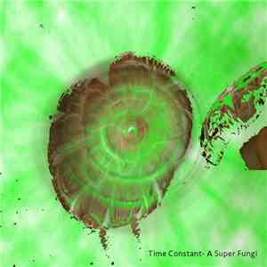 Time Constant - A Super Fungi
