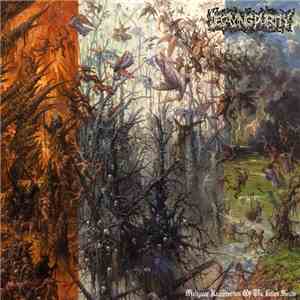 Decaying Purity - Malignant Resurrection Of The Fallen Souls