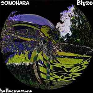 Sonohara, Blyzo - Hallucinations