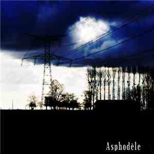 Asphodèle - none