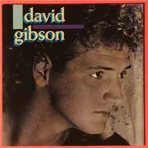 David Gibson  - David Gibson