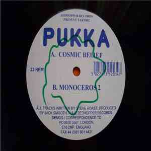 Pukka - Cosmic Belief