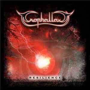 Trophallaxy - Resilience