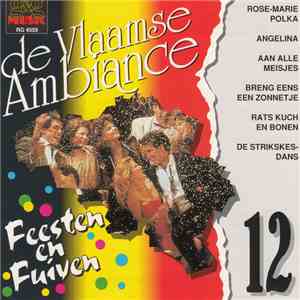Various - De Vlaamse Ambiance - Feesten En Fuiven 12