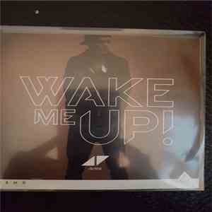 Avicii - Wake Me Up