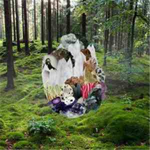 Clogs - Veil Waltz