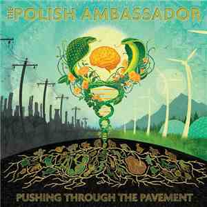 The Polish Ambassador - Pushing Through The Pavement
