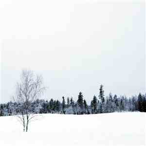 Trauma Field - First Day Of Winter