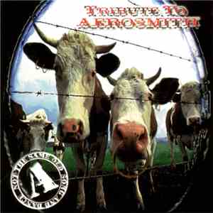 Various - Tribute To Aerosmith: Not The Same Old Song And Dance