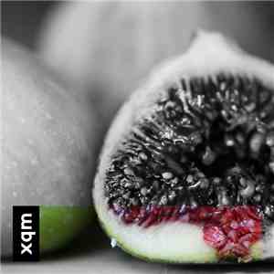xqm - Session #22 || 08.10.2016