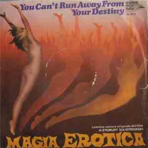 Hareton Salvanini - You Can't Run Away From Your Destiny