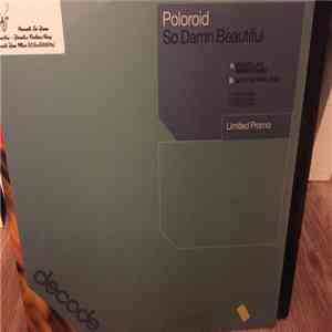 Poloroid - So Damn Beautiful