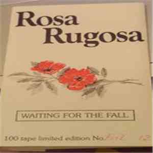 Rosa Rugosa - Waiting For The Fall