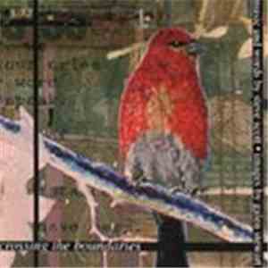 Steve Scott - Crossing The Boundaries