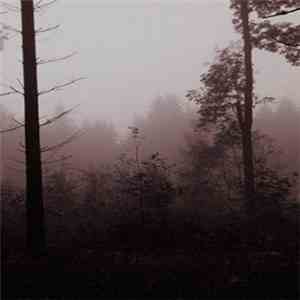 Dear Astronaut - The Dark Forest