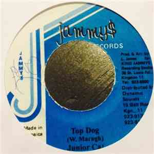 Junior Cat - Top Dog