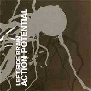 Left Side Brain - Action Potential