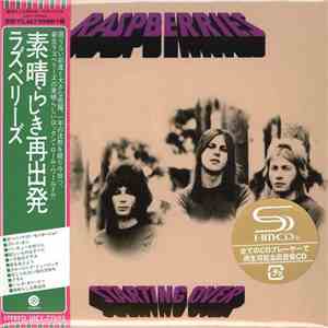 Raspberries - Starting Over