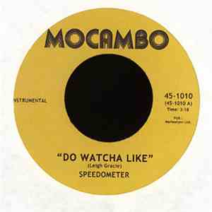 Speedometer  - Do Watcha Like / Ode To The Groove